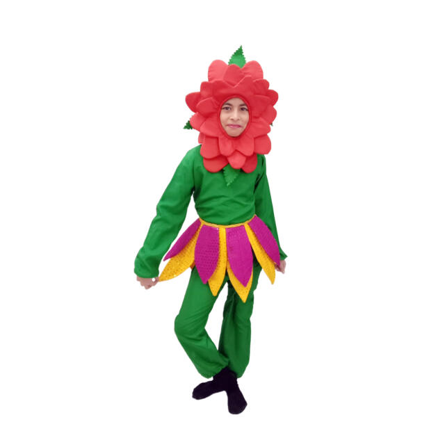Rose Dress – Kids Fancy Costume