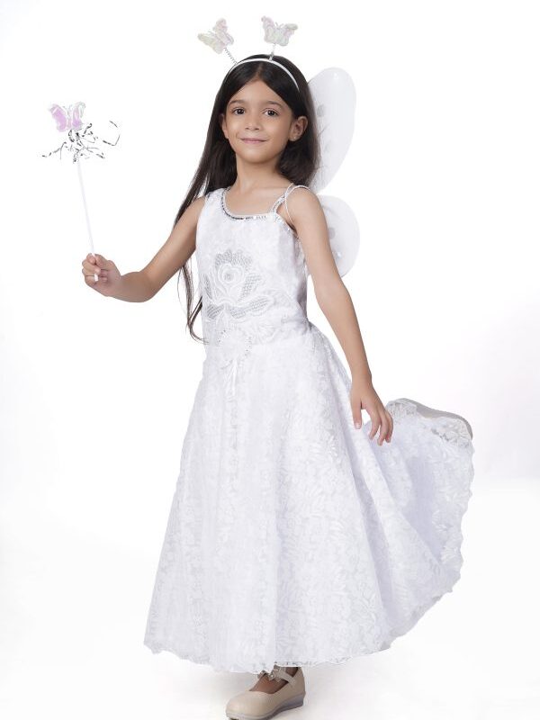 Princess Fairy Butterfly Pari Costume for Kids Girls