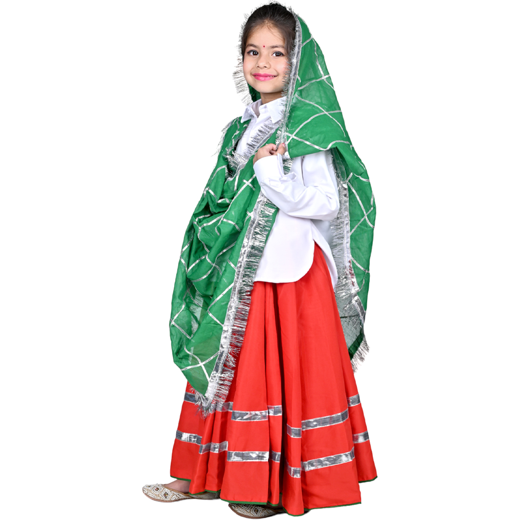 Haryanvi Dress For Girls Kids Indian States - Image 3