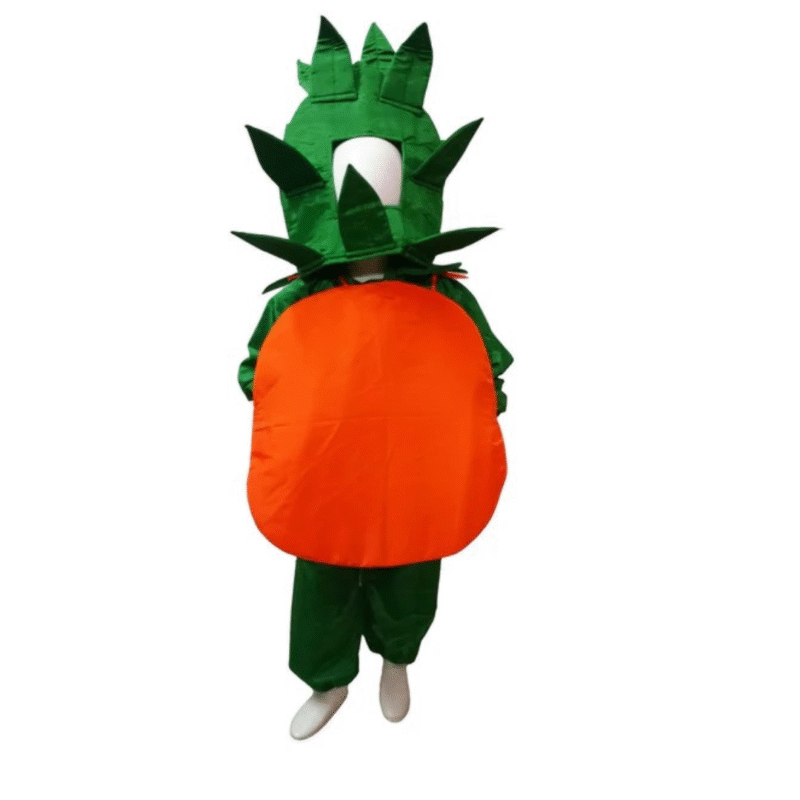 Orange Santra Kinnow Fruit Kids Fancy Dress Costume
