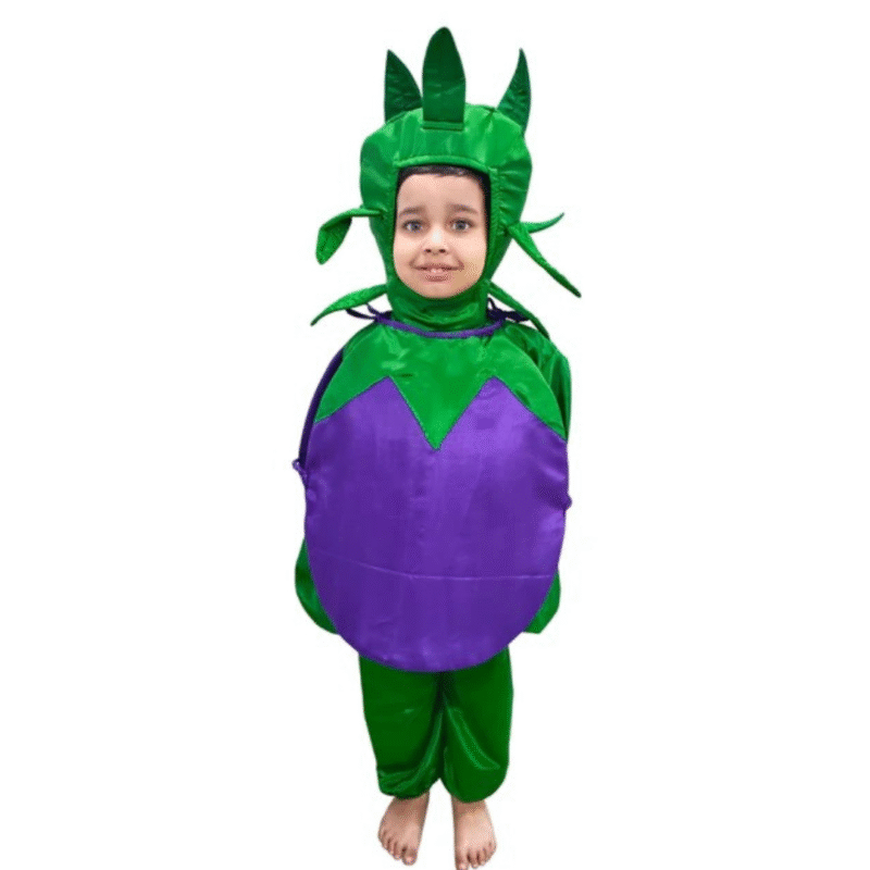 Brinjal Vegetable Kids Fancy Dress Costume