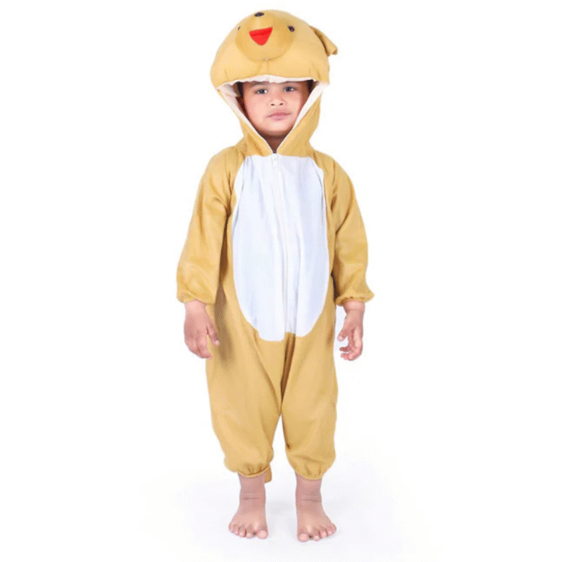 Brown Honey Bear Fancy Dress Costume for Kids & Adults
