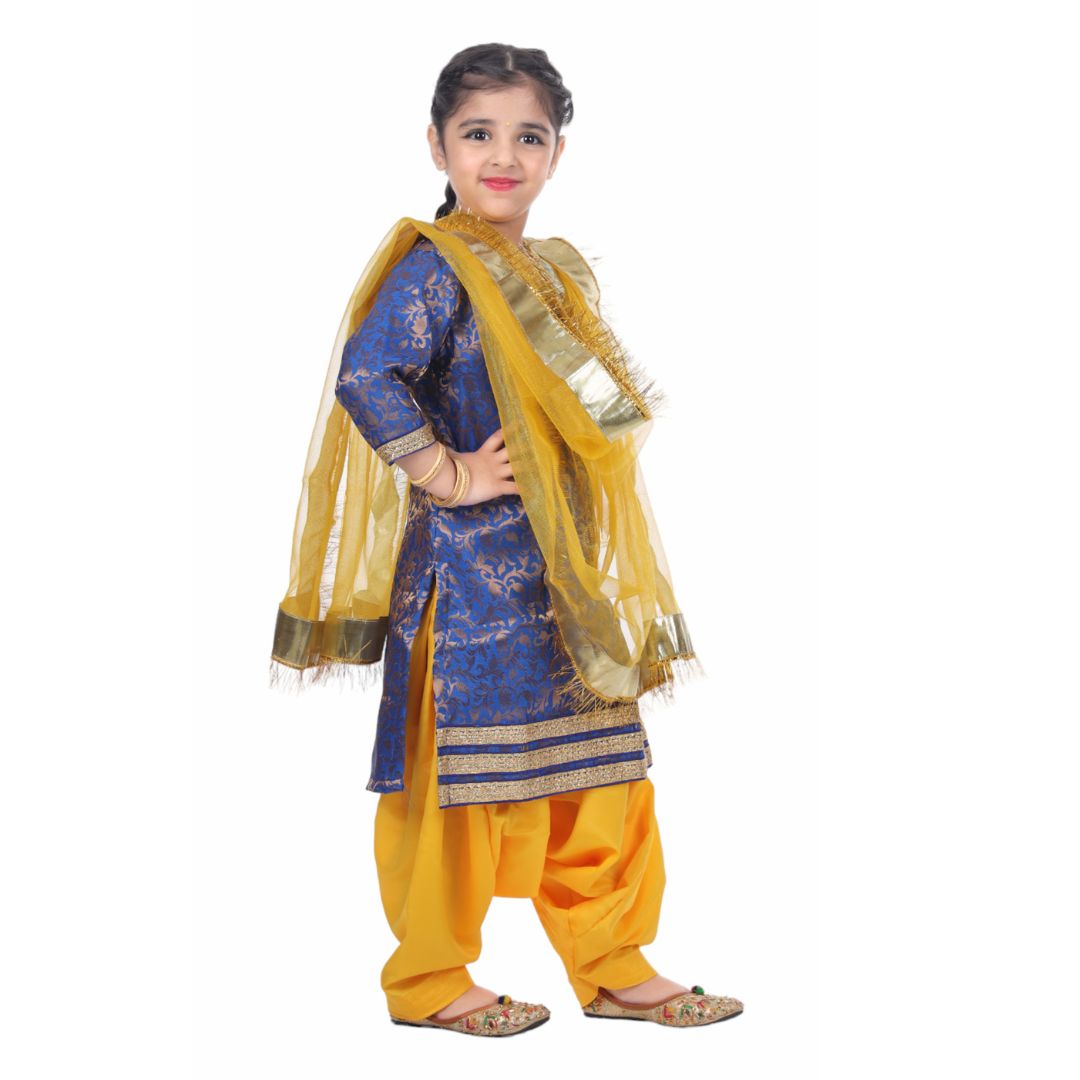 Punjabi Dress for Girls Costumes - Image 2