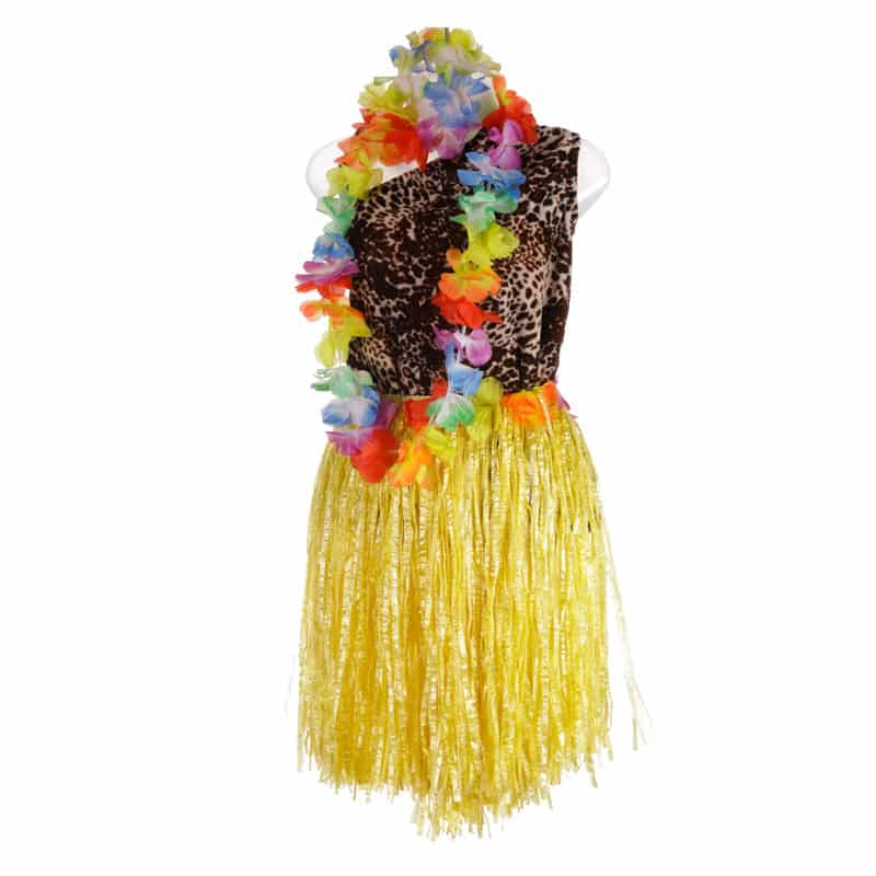 International Hawaiian Goa Girls Dance Costume