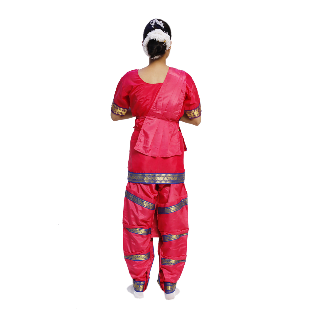 Bharatanatyam Saree For Girl - Image 2